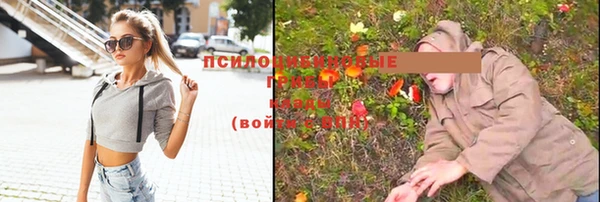 тгк Новочеркасск