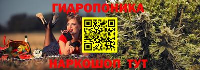 сатива Абакан