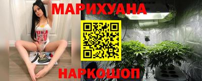 сатива Абакан