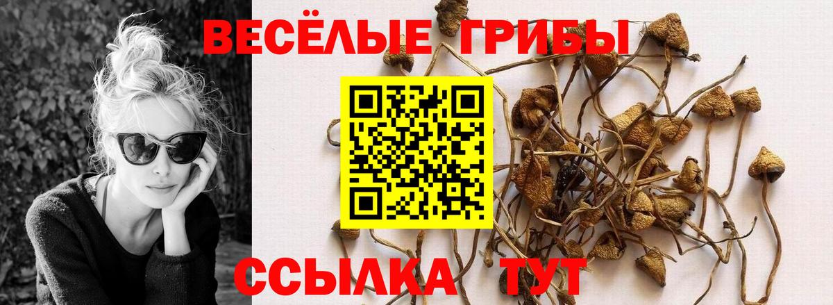 Псилоцибиновые грибы прущие грибы  как найти   Альметьевск  Галлюциногенные грибы MAGIC MUSHROOMS  Вход с VPN 