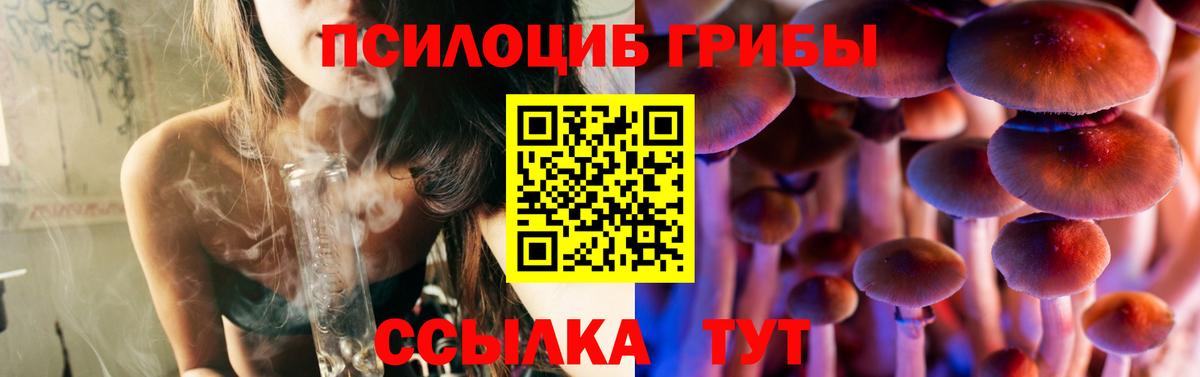 Галлюциногенные грибы Psilocybine cubensis  Альметьевск 